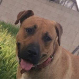 Meet your Posher, Katelynn